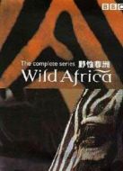 電影狂野的非洲海報