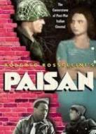 游擊隊（戰(zhàn)火）