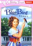 藍(lán)色知更鳥