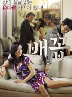 電影肚臍海報(bào)