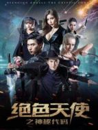 絕色天使之神秘代碼