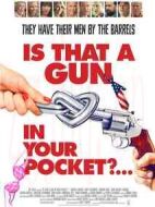 你口袋里有把槍嗎？