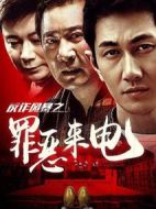 反詐風(fēng)暴之罪惡來電