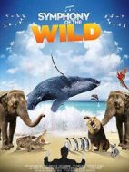 野生動(dòng)物交響曲