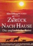 看狗在說(shuō)話