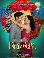 電影摘金奇緣海報(bào)