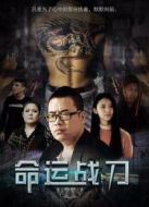 命運(yùn)戰(zhàn)刀