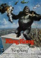 金剛：傳奇重生