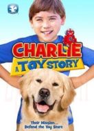 查理的玩具小屋