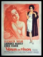 巴特菲爾德八號