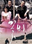 電影花雨（2010）海報
