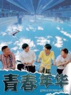 電影青春年華海報(bào)