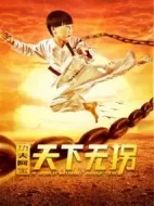 功夫阿寶：天下無拐