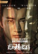 電影影武楊家將海報