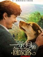 一條狗的回家路