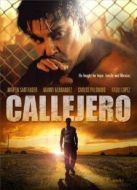 街頭霸王（2015）