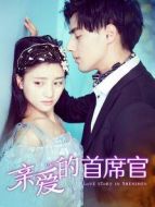 親愛(ài)的首席官
