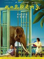 我的寵物是大象