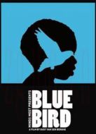 藍(lán)鳥