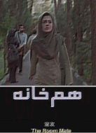 室友（美國版）