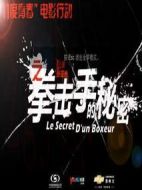 11度青春之《拳擊手的秘密》