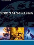 恐龍化石的秘密