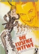 風(fēng)流寡婦英文原版