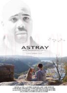 誤入歧途（美國）