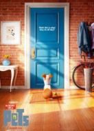 愛寵大機(jī)密