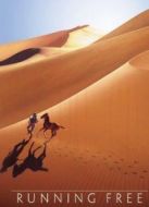 電影自由飛奔海報(bào)