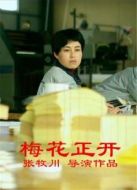 梅花正開