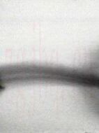 おんなのさくひん