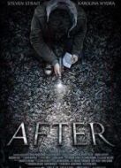 車禍之后（2012）