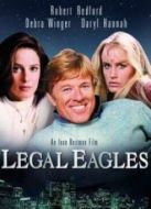 電影法網(wǎng)神鷹海報