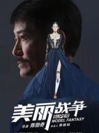 電影美麗戰(zhàn)爭海報