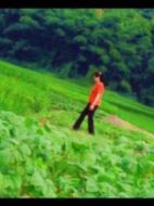 電影南粵西廂海報