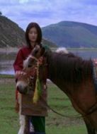 這兒是香格里拉