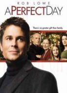 完美的一天