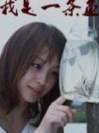 我是一條魚