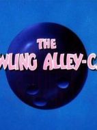 保齡球館里的貓