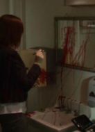 血緣關(guān)系（2009）