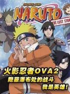 火影忍者：隱蔽瀑布處的戰(zhàn)斗，我是英雄