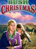 叢林圣誕節(jié)