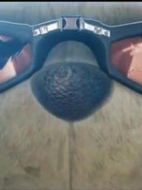 電影跳傘兔子海報