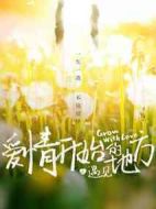 愛(ài)情開(kāi)始的地方之遇見(jiàn)