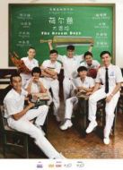 荷爾蒙大冒險(xiǎn)