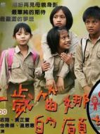 十歲笛娜的愿望