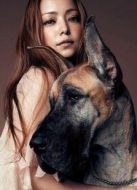 安室奈美惠 2005巡回演唱會(huì) 完整版