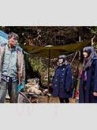 動物的狩獵方法