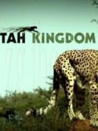 ITV1：獵豹王國(guó)